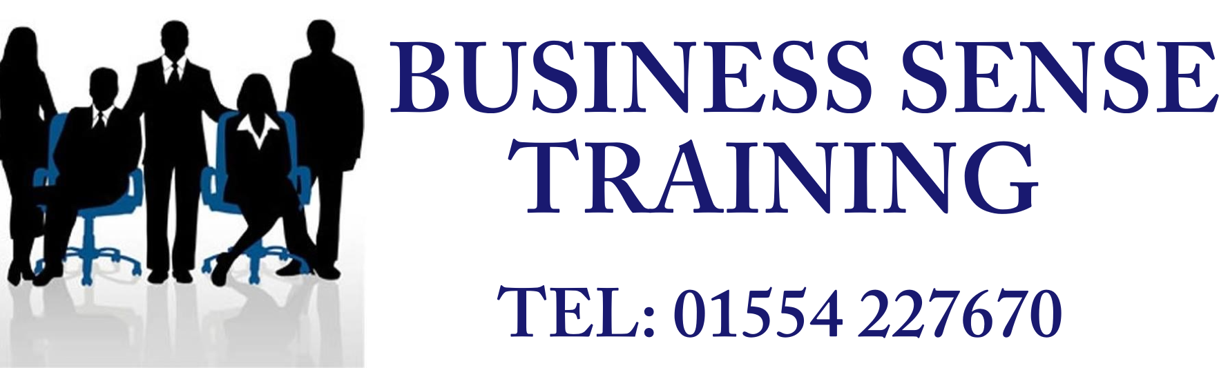 Business Sense Training Logo Business Sense Training Logo