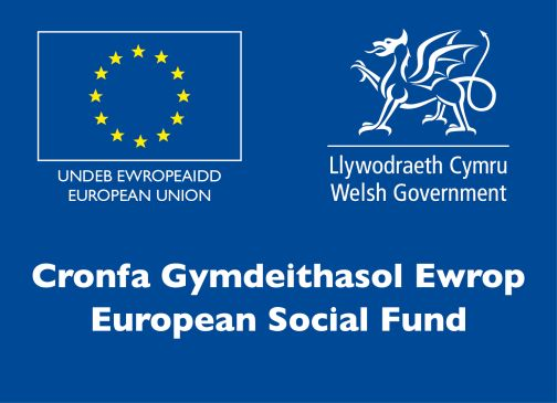 Welsh Government European Social Fund